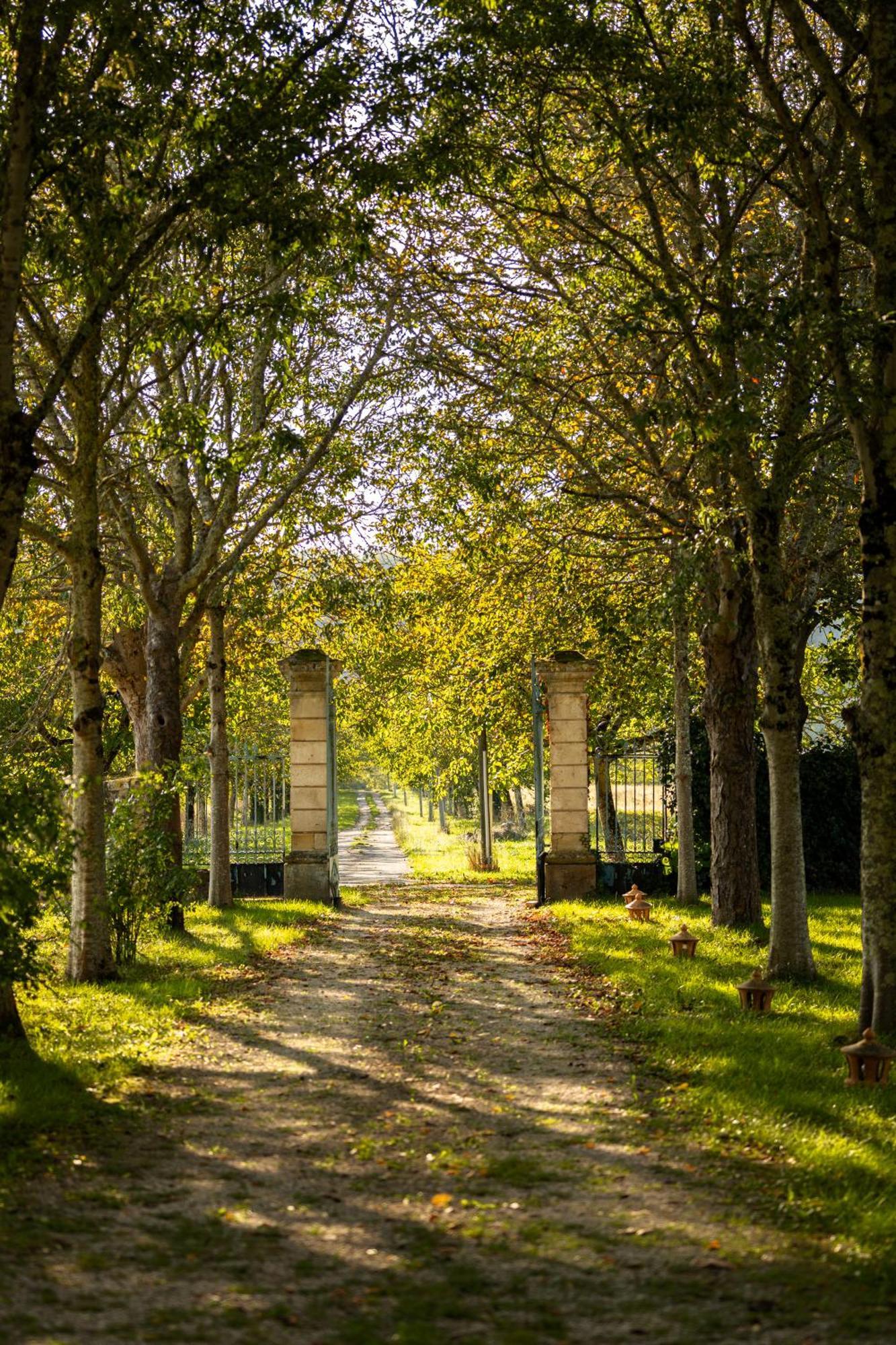 Duravel Chateau La Gineste - Castle And Vineyard מראה חיצוני תמונה
